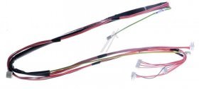 Harness - C00630824 488000630824 Complete Door Harness Dx Nebula [Whirlpool Indesit]