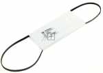 Poly v belt H - 41009626 Drive Belt [Candy Hoover]